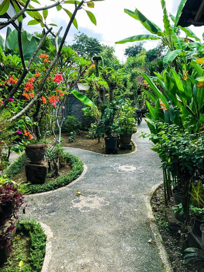 Rayshiva * Ubud